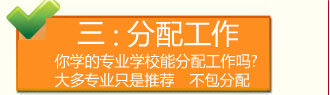 分配工作就业好